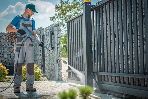 Best Gutter Cleaning  in Harrisonville, MO