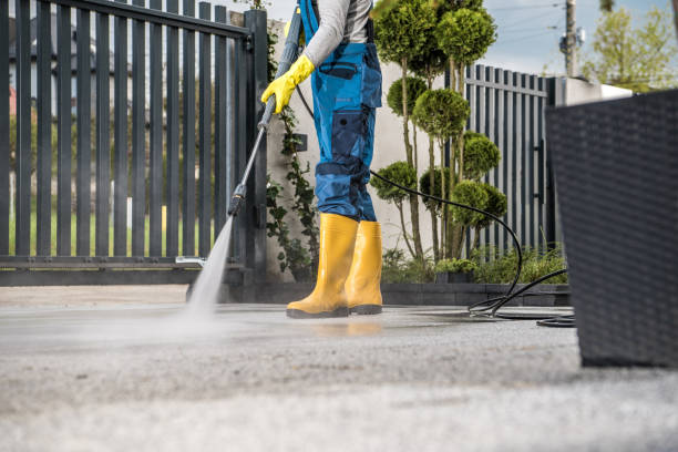 Best Graffiti Removal  in Harrisonville, MO